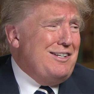 DonaldDumples's profile picture. a New Netflix Original Series. Some call me Donald. My friends call me Trumples.