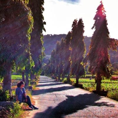 deejpasion's profile picture. ...