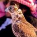 شعر و خواطر (@5wwa6r) Twitter profile photo شعر و خواطر (@5wwa6r) Twitter profile photo