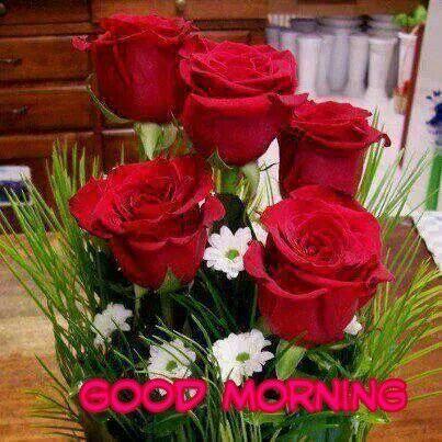 f794bf2b74f8475's profile picture. 