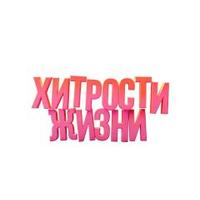 хитрости жизни (@razinakarimull1) 's Twitter Profile
