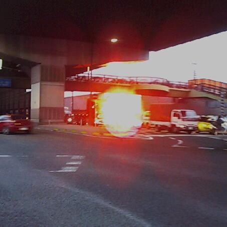 kind_sy's profile picture. 