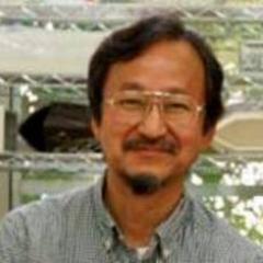 yoshihideiizuka Profile Picture