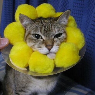 にゃんぱす〜 8pcs Joystick Pushers 9246436 For Hitachi ZX120 ZX200-3