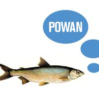 powanfish(@LaurieDD) 's Twitter Profileg