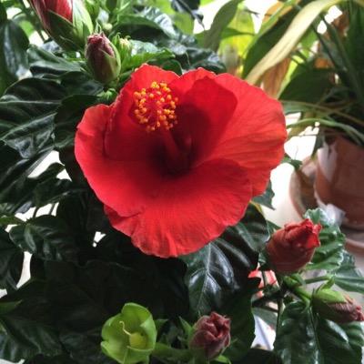 vjas12's profile picture. mathematician