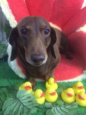 sora_20070127's profile picture. 光明/MGU 15sw/SFT