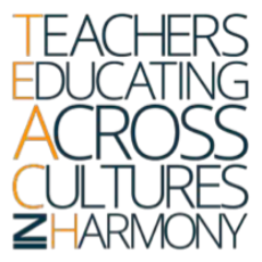 TEACH Fellowship Profile