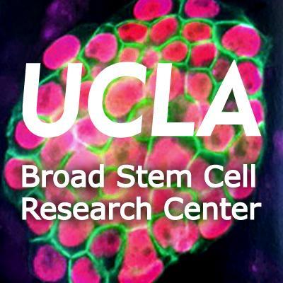 UCLAstemcell Profile Picture