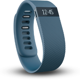 fitbit one wristband