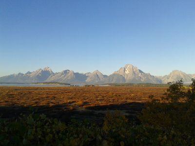 rowland_carrie's profile picture. Oceans, Cryosphere and Climate Change | Scientist & Passionate Biologist, marine, biodiversity, immunology, infectious disease |