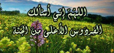 aboobatal23's profile picture. 