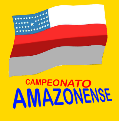 Tudo sobre o Campeonato Amazonense 2010 e os times do estado nas competições nacionais.