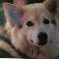 Maria Luisa Madonar (@madonar) 's Twitter Profile Photo Maria Luisa Madonar (@madonar) 's Twitter Profile Photo