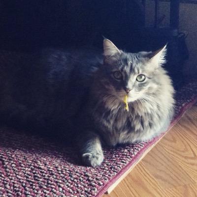 bethkeeks's profile picture. 