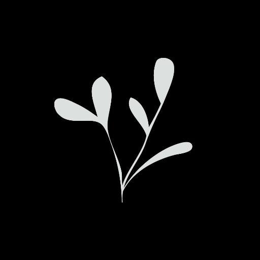 purestudios's profile picture. 