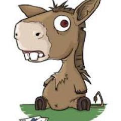 ayylmaoyoutwat's profile picture. 