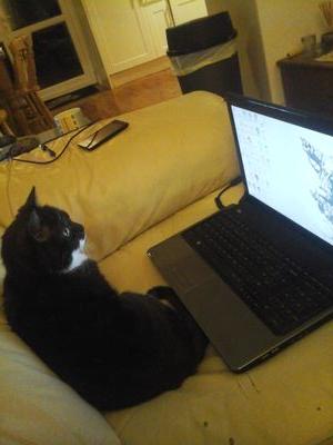 Tiggy_Cambridge's profile picture. 