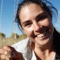 Amy Lee Slender (@leeslender) 's Twitter Profile