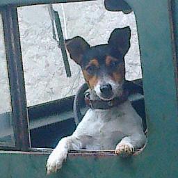 guillermoemo's profile picture. 