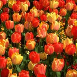 abhishekpatoda2's profile picture. 