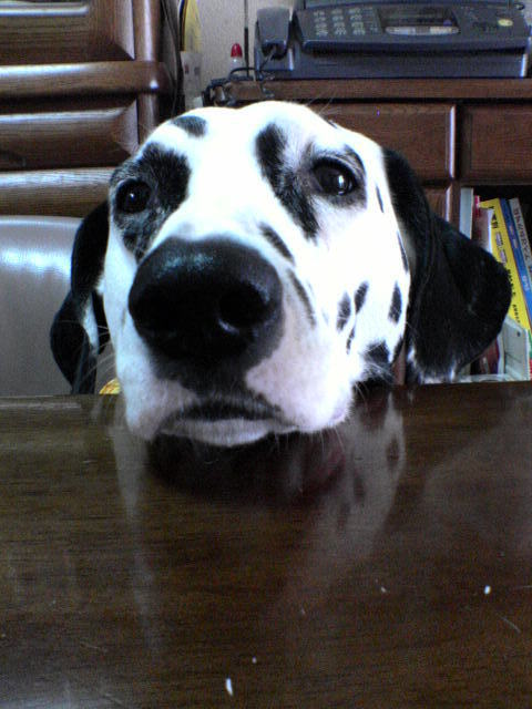 same0215's profile picture. プリキュア好き/フレッシュなイマジネーションの出番です！？
〜推しVtuber〜
🎀❌/🦇🩷/🪽💜
°ʚ💓ɞ° /🥽🌱/📣⭐/🐾💨/🎀🐈💙