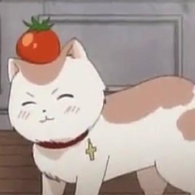 明日乃さんのプロフィール画像