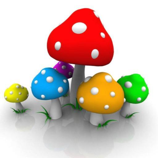 mycoprakash's profile picture. Mycologist