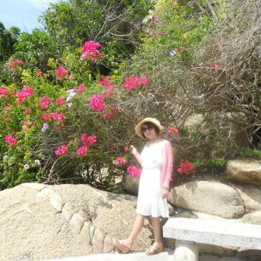 sanjuyuan's profile picture. Seamless Steel Pipe in Shandong Baokun Metal Material Co., Ltd