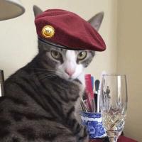 Else's Other Cat (@minniemoochacat) 's Twitter Profile