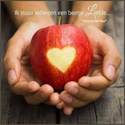 45Piety's profile picture. 