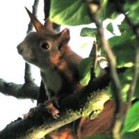 metaphorum (@metaphorum) 's Twitter Profile