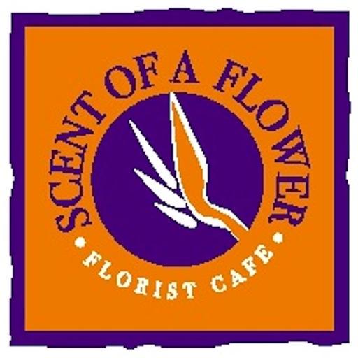 MULTI AWARD WINNING FLORIST CAFE.
The best coffee is served while your floral creations are designed. Visit our florist cafe gallery & explore your senses.