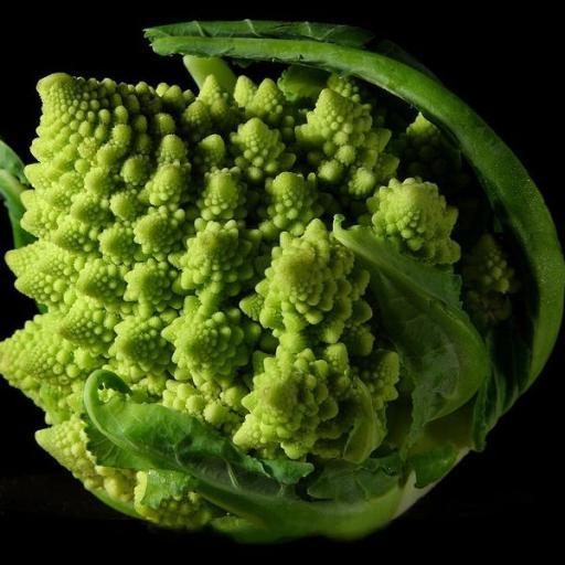 MitraliasRoxane's profile picture. agriculture, environnement, politique αγροτικά, περιβάλλον, πολιτικη