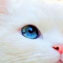 ^ - ^ (@008_tmt_008) Twitter