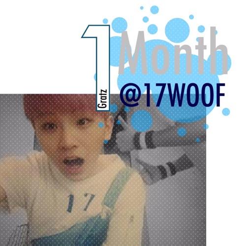 SEVENTEEN WOOZI(FAKE)