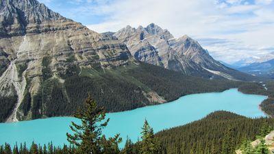 Fiolaw's profile picture. CPA (CA) by day, socialite by night