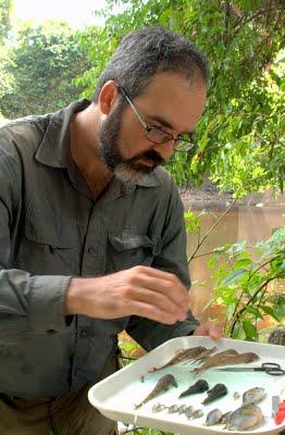 Neotropical Freshwater Ichthyologist and Evolutionary Biologist. Associate Professor, Curator of Fishes,  @UMich #umicheeb #ummz. Views my own.