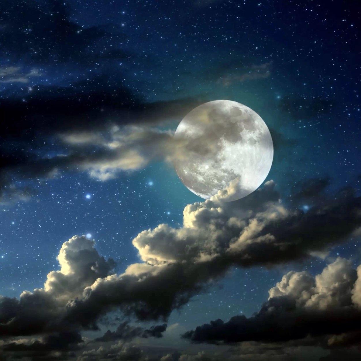 tarponskipper's profile picture. 