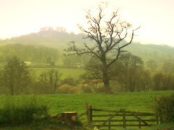 Honiton. East Devon
South West England.
#Honiton #Devon
@honitondevon