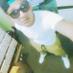 Profile Picture of Isai Jonathan (@JonathanCoreas8) on Twitter