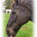 Peter Bingham-Daly - @Binghamdaly - Twitter