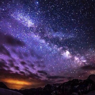 ShitMikeSays101's profile picture. bye Faggots