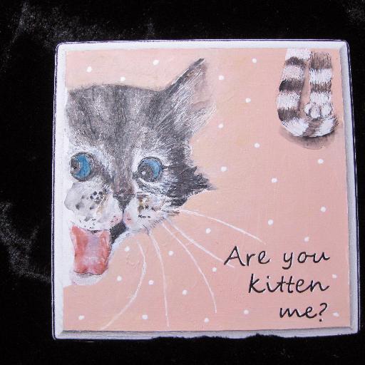 miriaminmd's profile picture. meow to all the lovers of life, fur and feathers and chocolate.