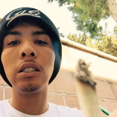 nitsujdleiftihw's profile picture. pro era!