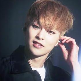 xAuroraNorth's profile picture. 