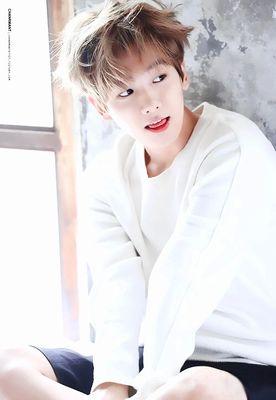exo' childish boy, byun baekhyun.