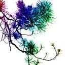 megan linton - @meganluvs13 - Twitter