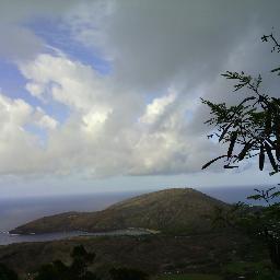 Semper671's profile picture. 