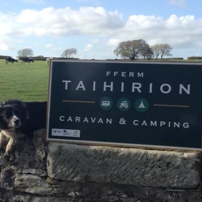 ffermtaihirion's profile picture. Tai Hirion Farm is a brand new caravan and camping site on the Isle of Anglesey, North Wales. It is set in a picturesque location on our family farm.